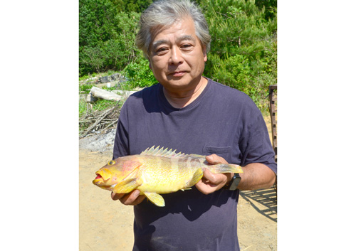 【久美浜沖】40センチのアオハタ釣り上げる　奥榎原の森田さん